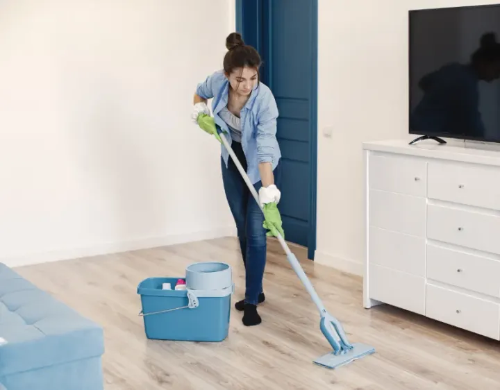 Femme de ménage Maisons